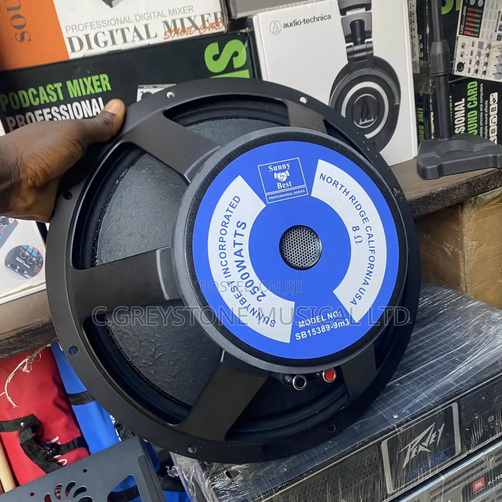 Naked Speaker 15 Inches SB 15389-9m3