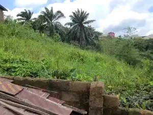 1 Plot for Sale in Amuzukwu Ibeku, Umuahia