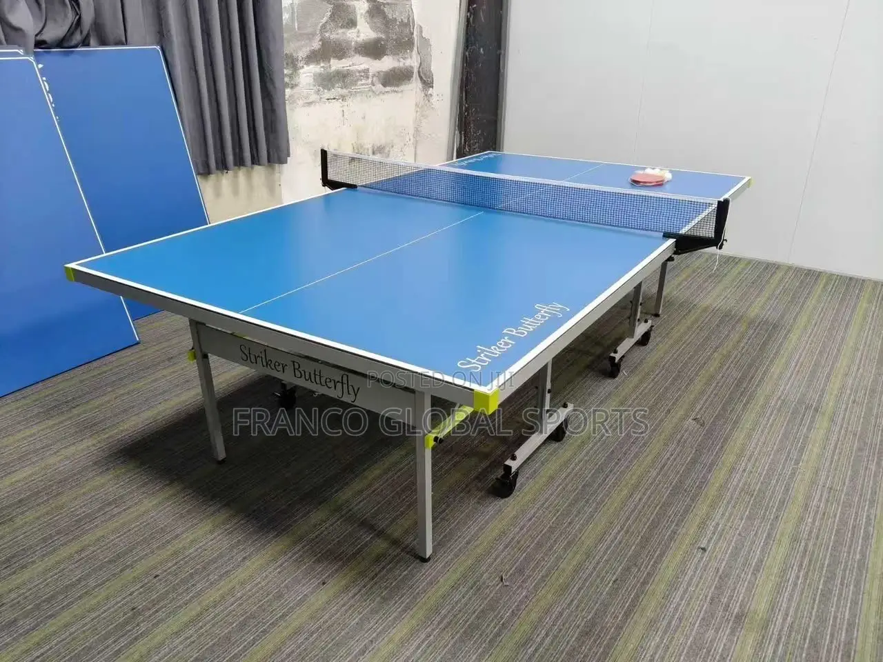 Outdoor Table Tennis ( Brand:Butterfly )