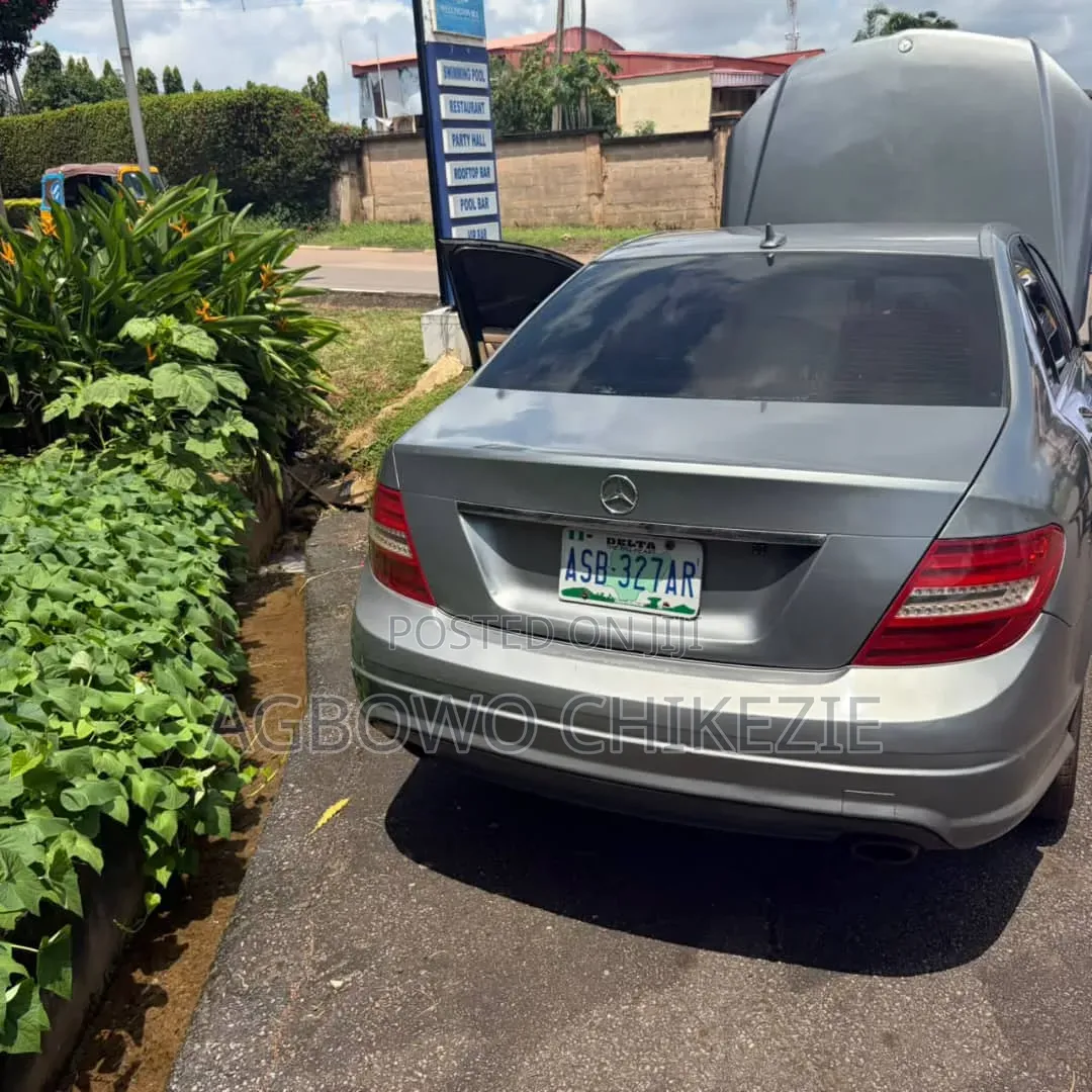 Mercedes-Benz C300 2009 Silver