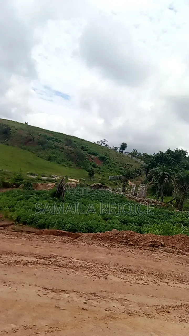 Asokoro Extension Treasure City