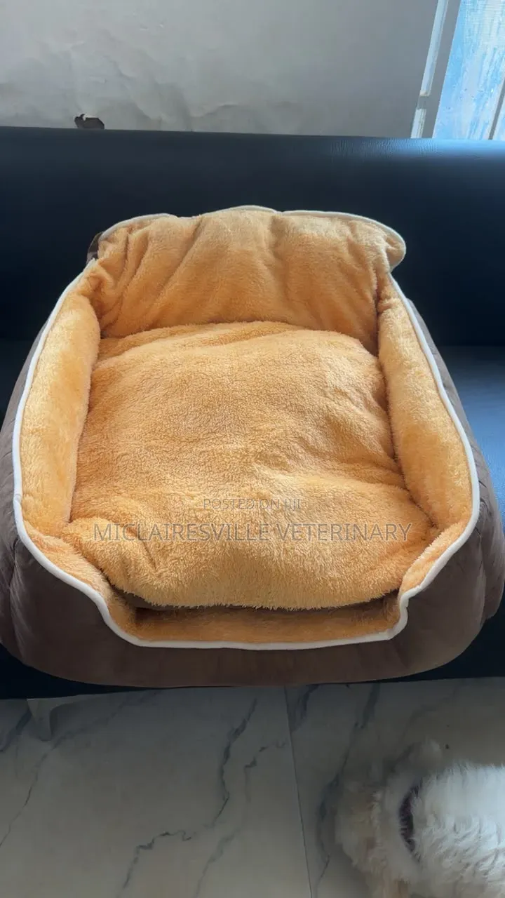 Soft Padded Pet Bed