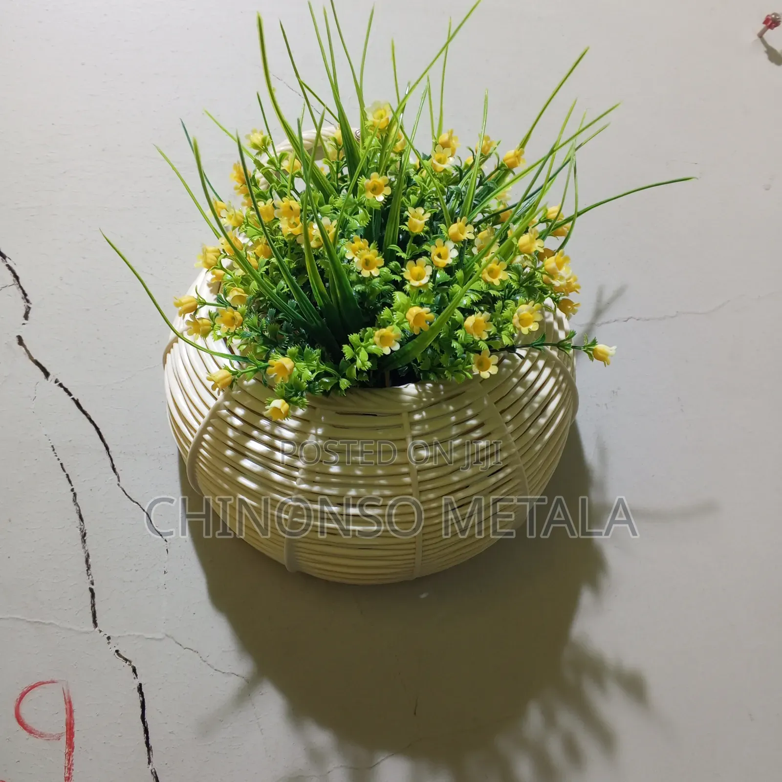 Hanging Basket Flowers