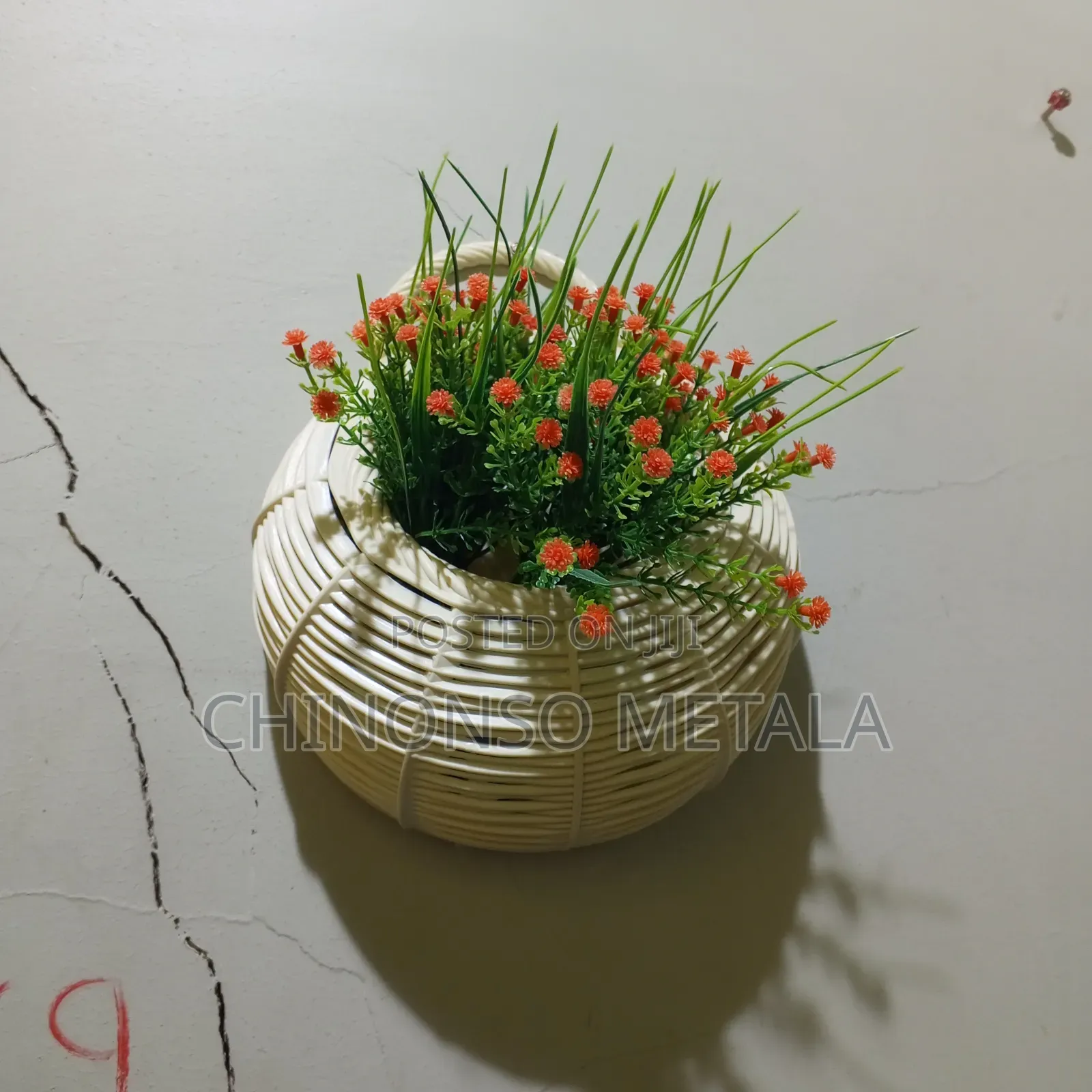 Hanging Basket Flowers