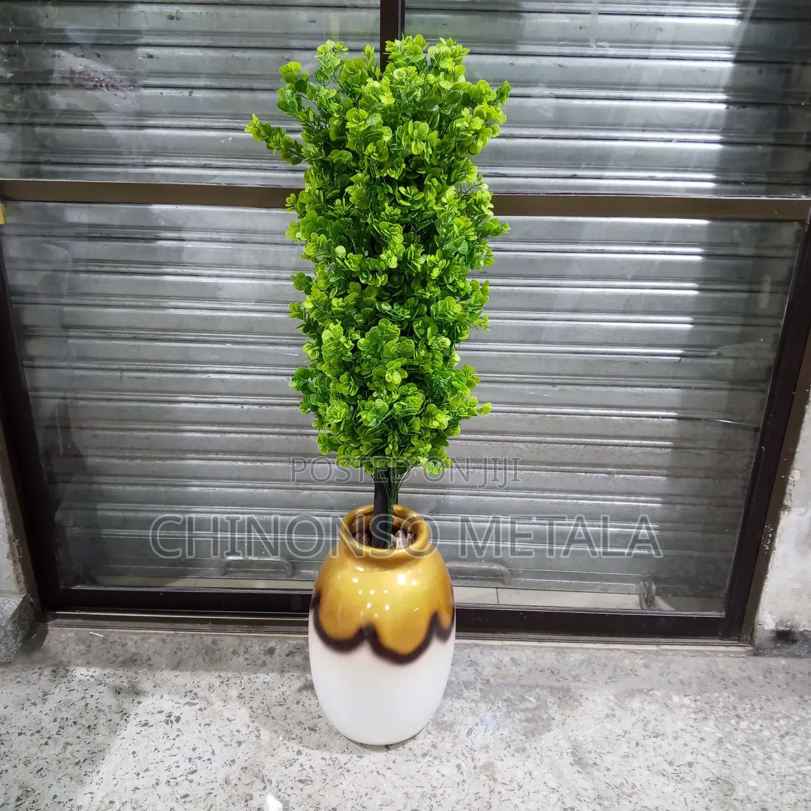 Fiber Pot and Plant