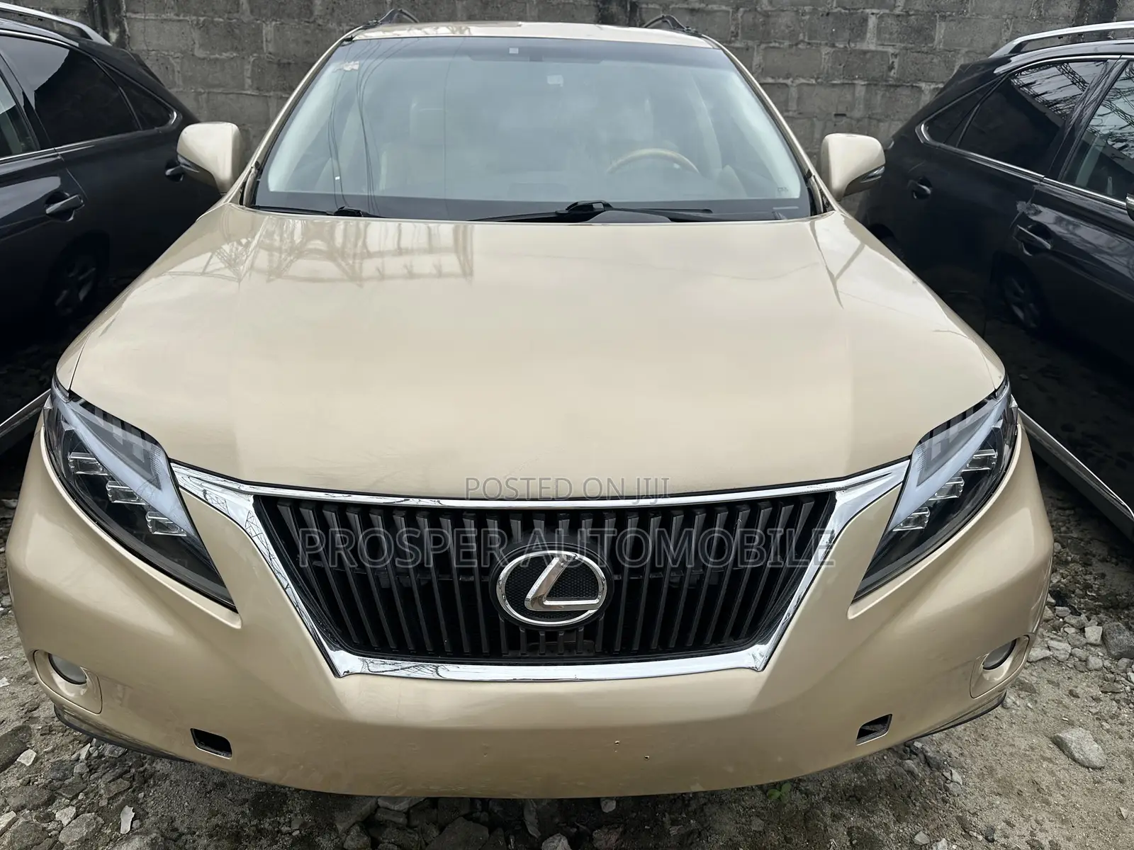 Lexus RX 350 2010 Gold