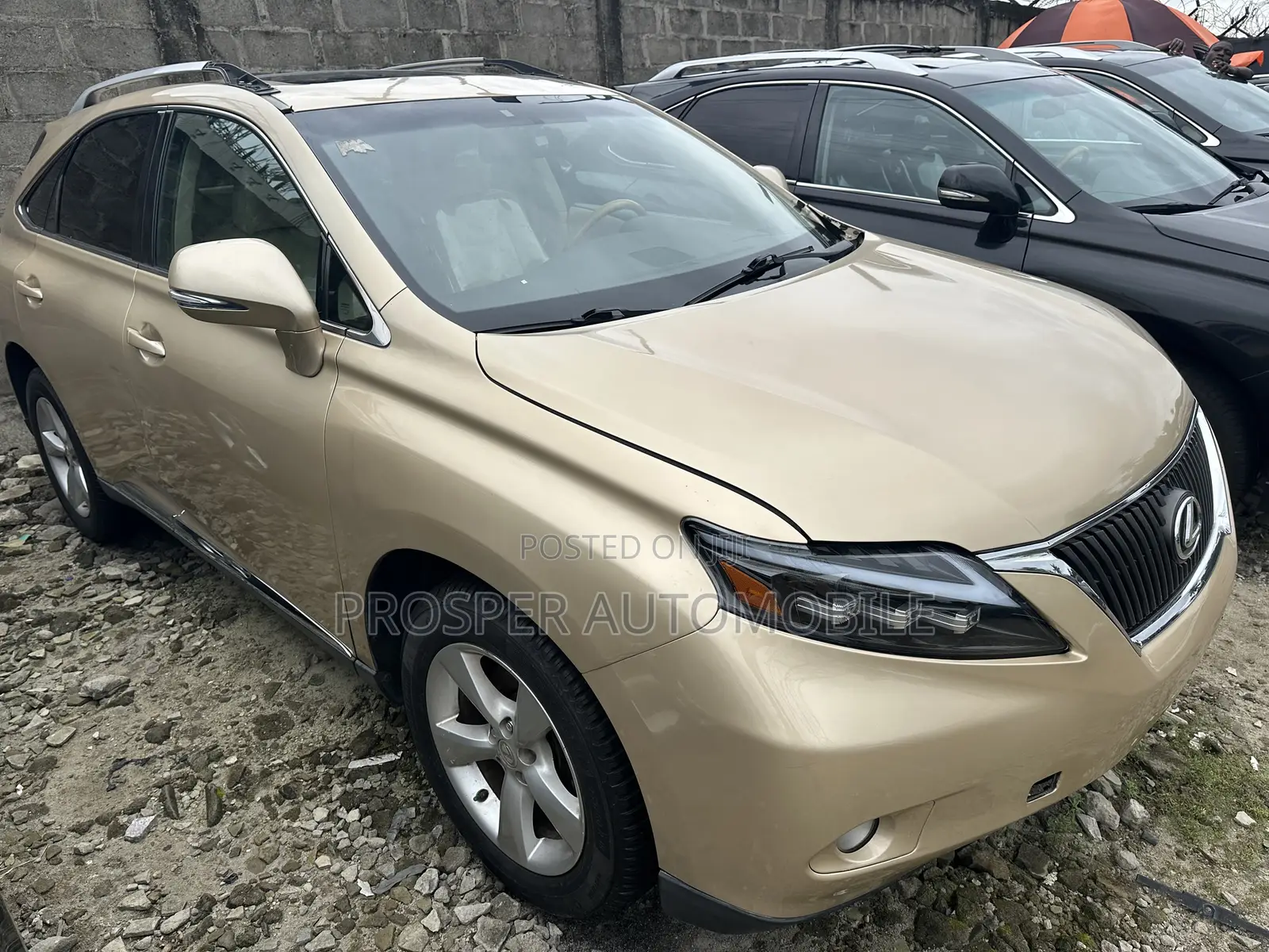 Lexus RX 350 2010 Gold