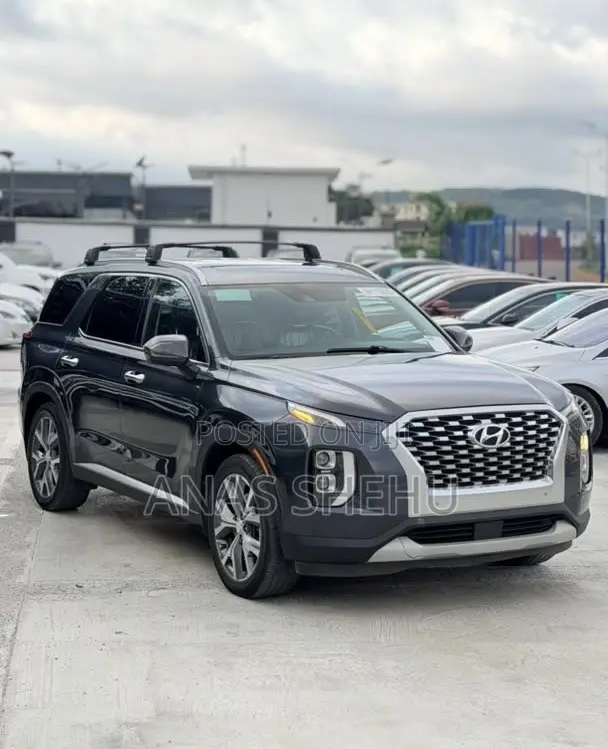 Hyundai Palisade 2020 Gray