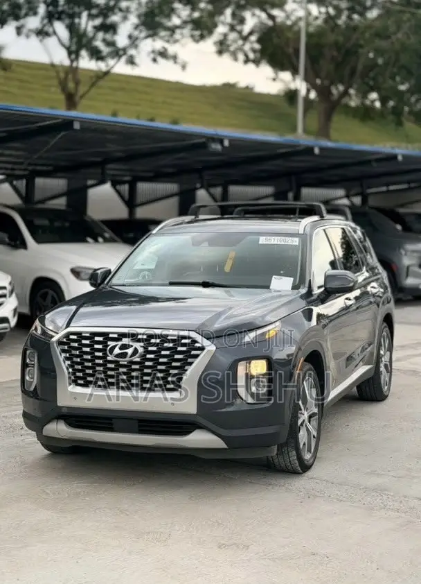 Hyundai Palisade 2020 Gray