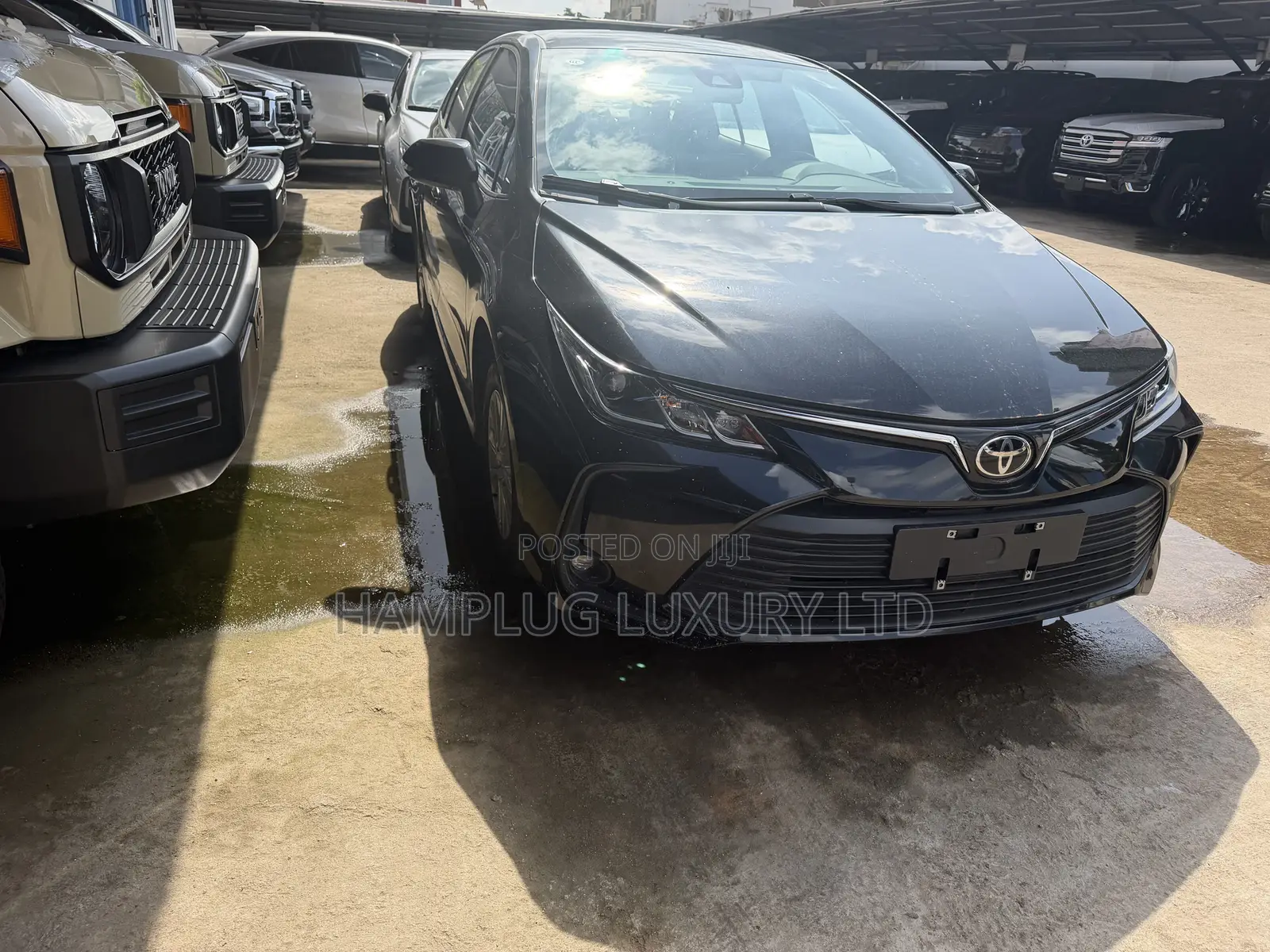 New Toyota Corolla 2025 Black