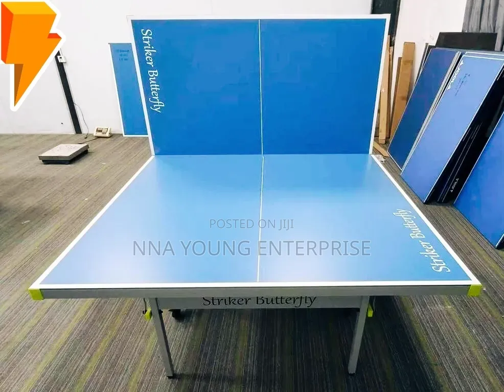 Aluminium Striker Butterfly Outdoor Table Tennis Board Foldable
