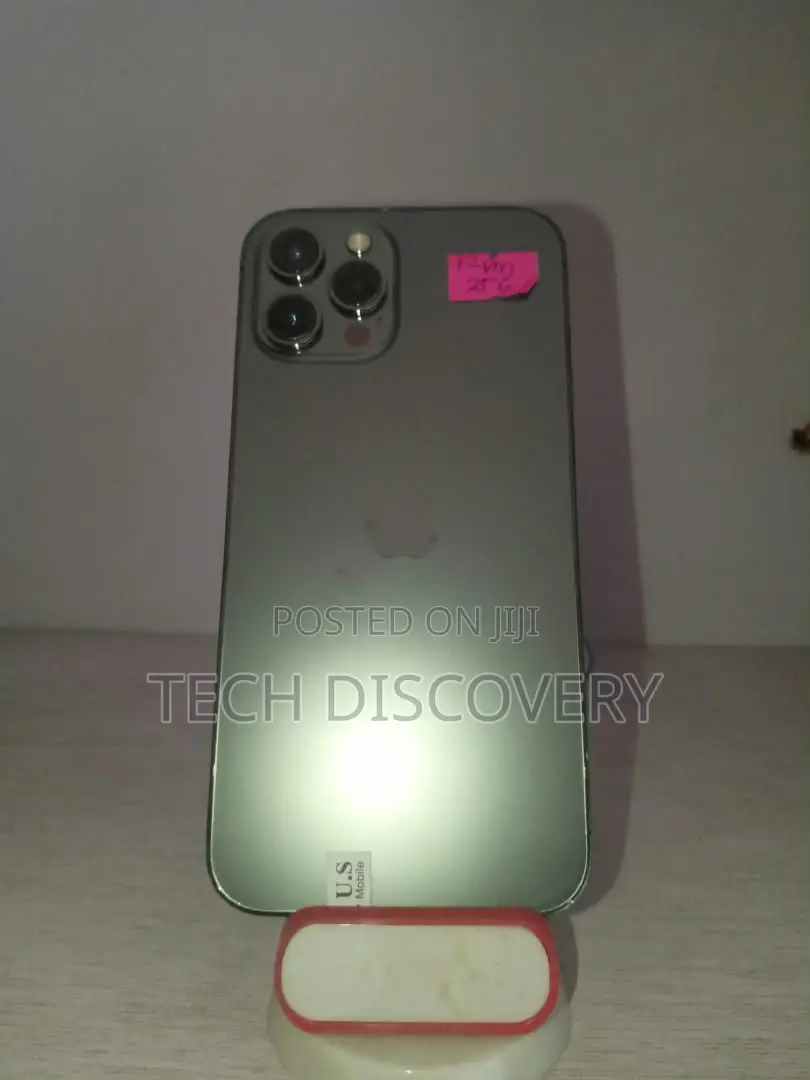 Apple iPhone 12 Pro Max 256 GB Gray