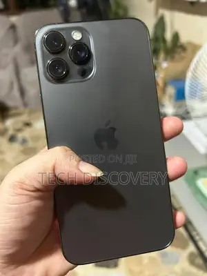 Apple iPhone 12 Pro Max 256 GB Gray