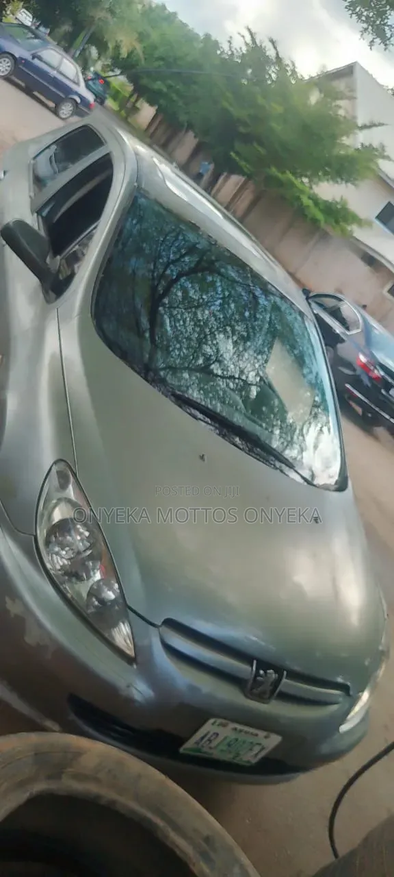 Peugeot 307 1.4 Grand Filou 2005 Silver