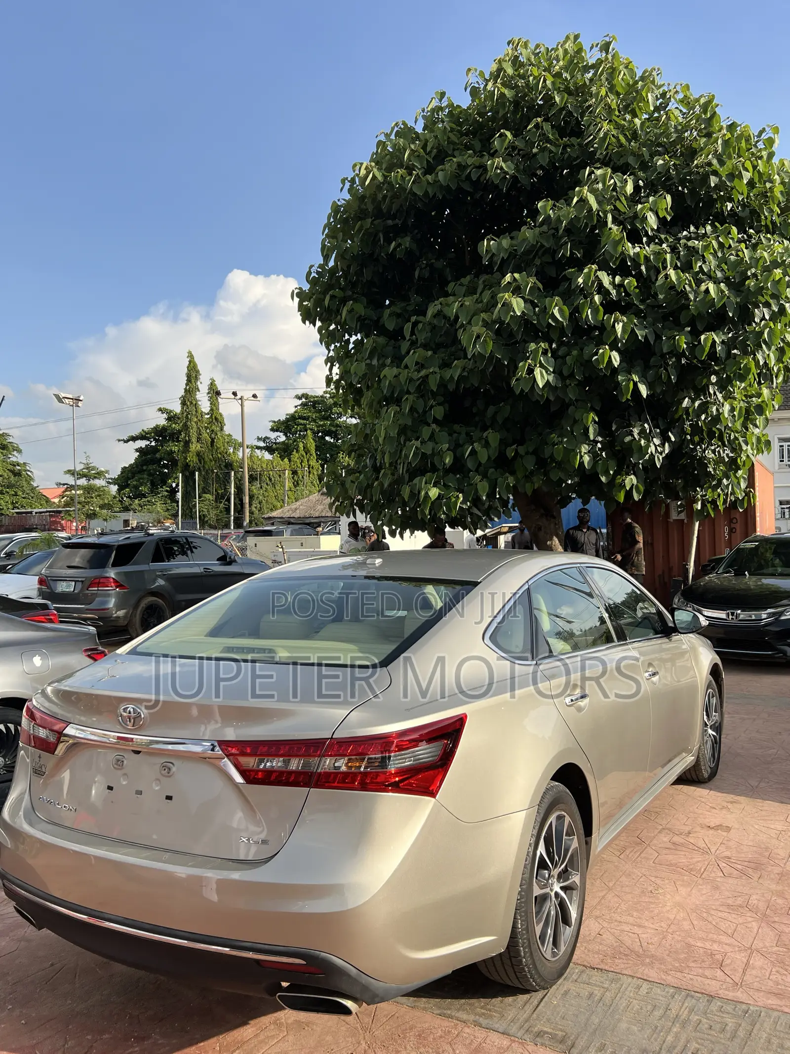 Toyota Avalon XLE Plus Sedan FWD (3.5L 6cyl 6A) 2017 Gold