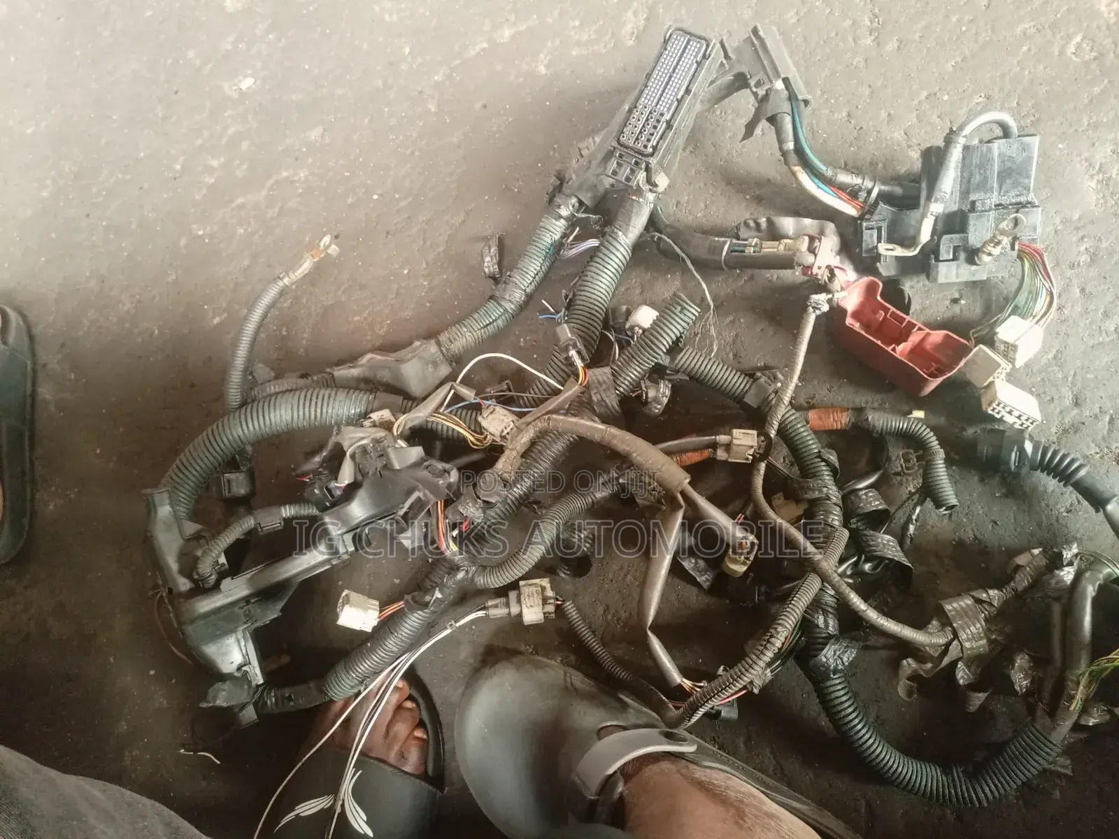 Wiring System of Toyota/Lexus