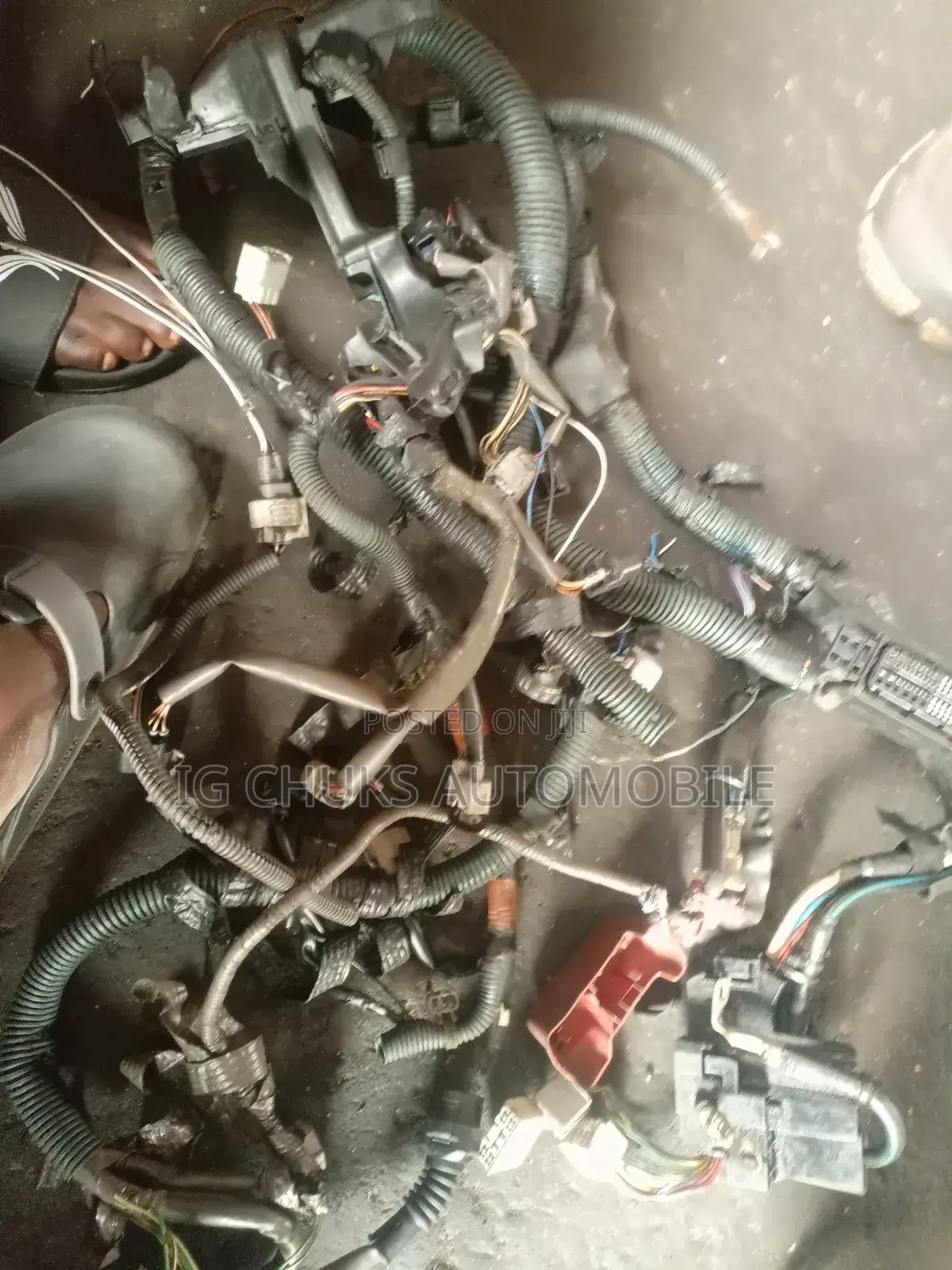 Wiring System of Toyota/Lexus