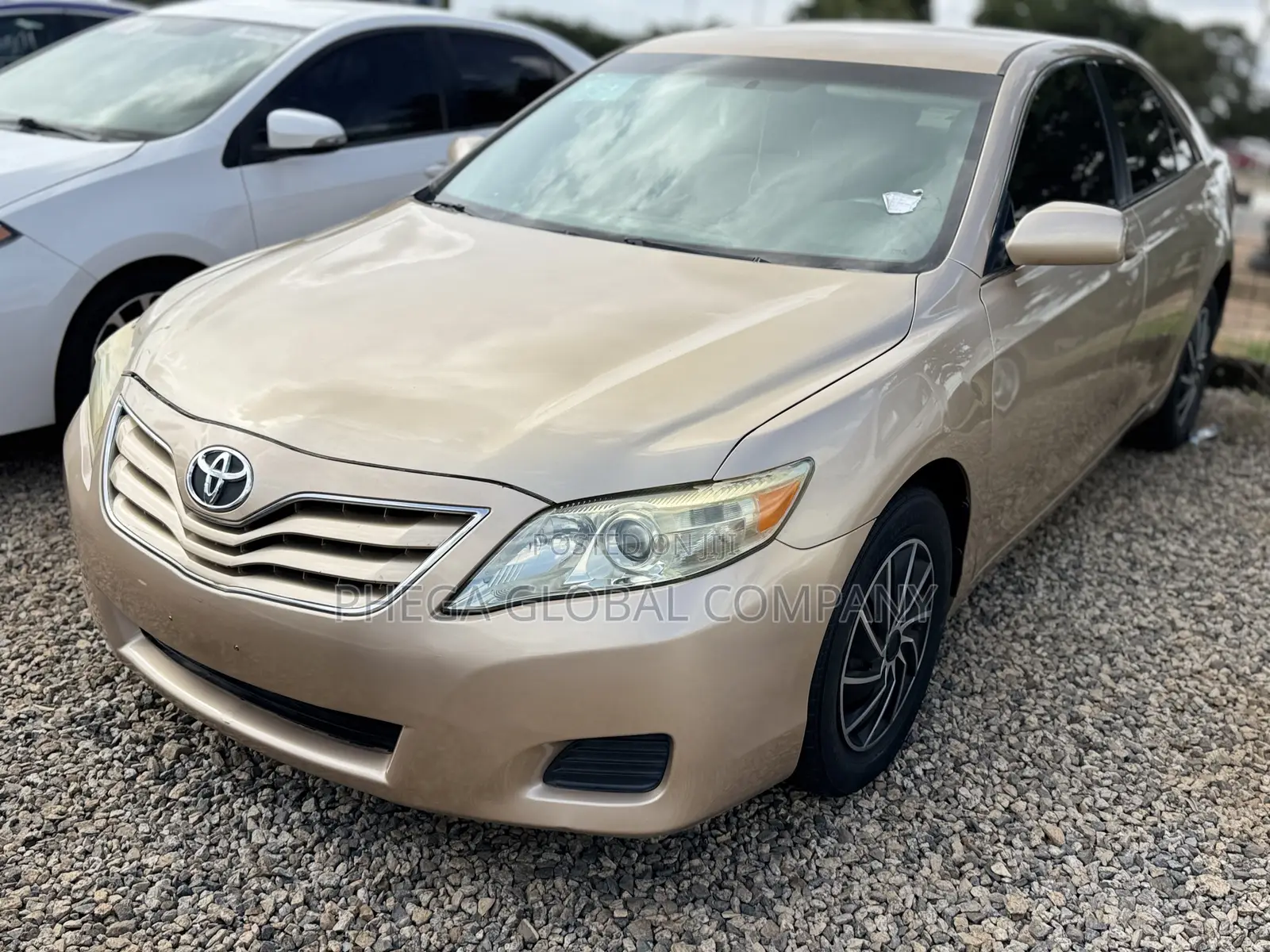Toyota Camry LE 4dr Sedan (2.5L 4cyl 6AM) 2010 Gold