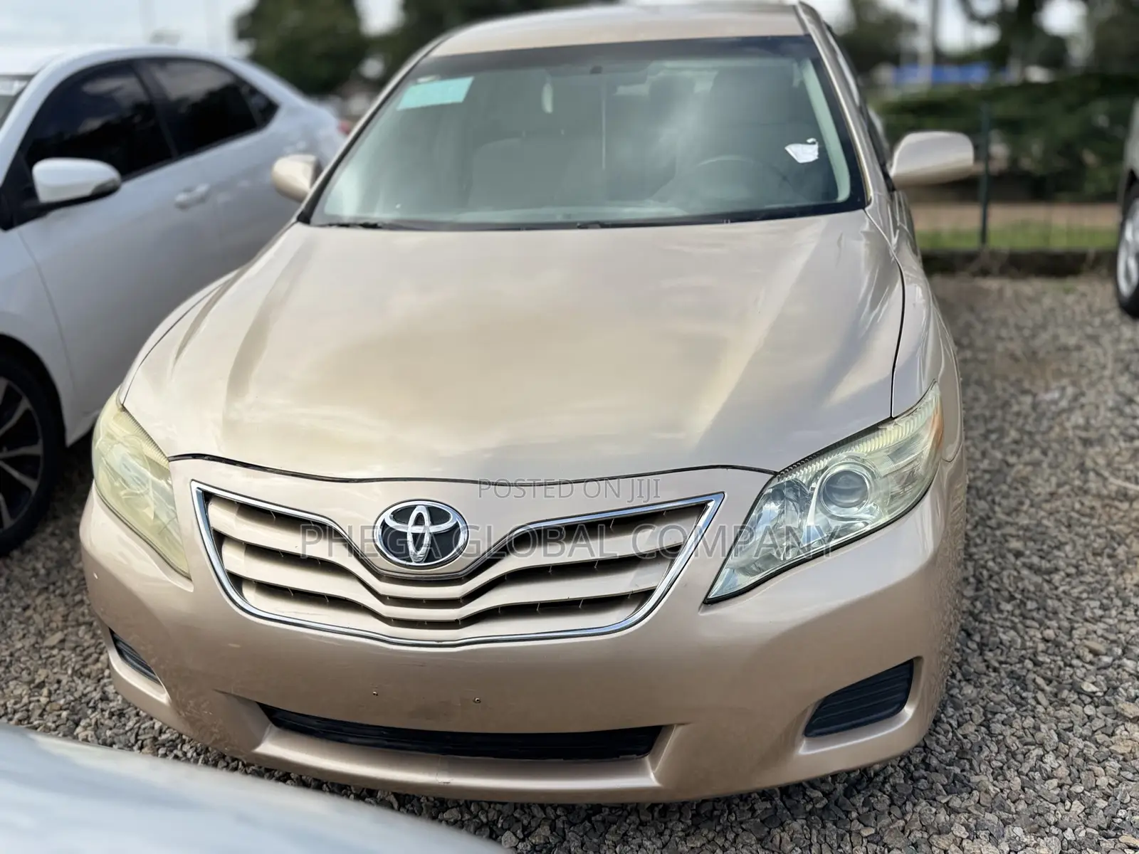 Toyota Camry LE 4dr Sedan (2.5L 4cyl 6AM) 2010 Gold
