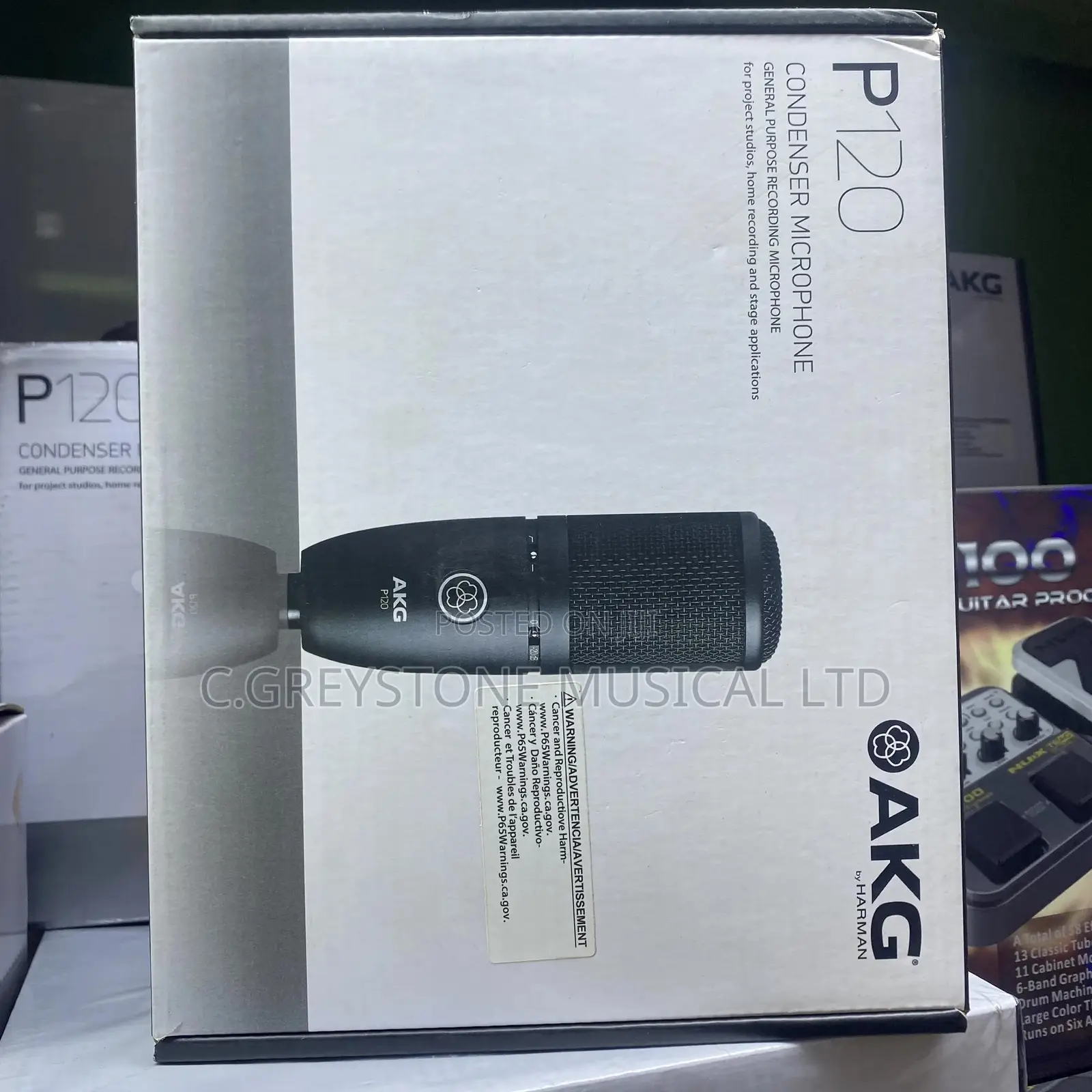 AKG Studio Mic P120