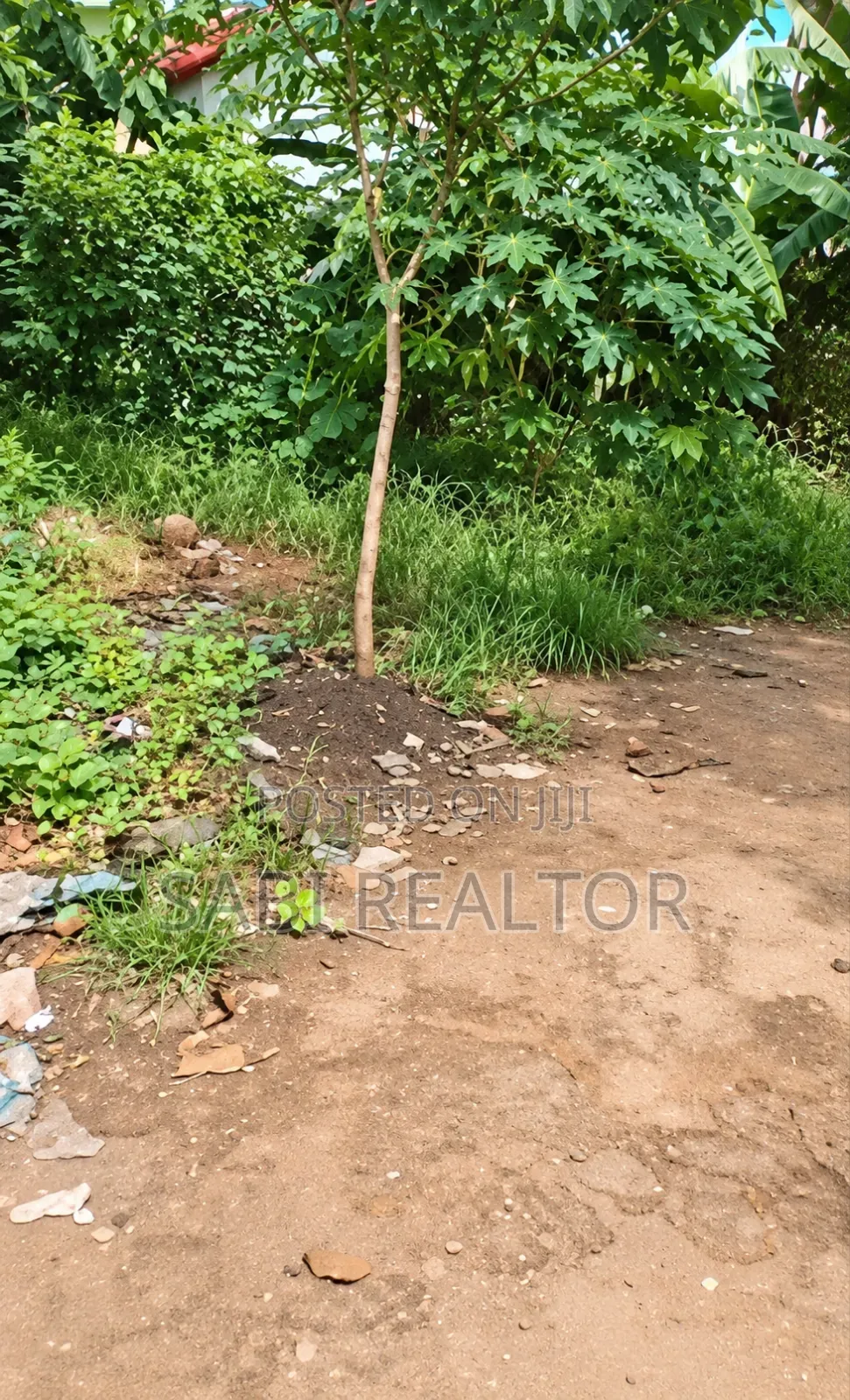 3 Plots of Land at Ishefun Ayobo Suitable for Commercial Purpose