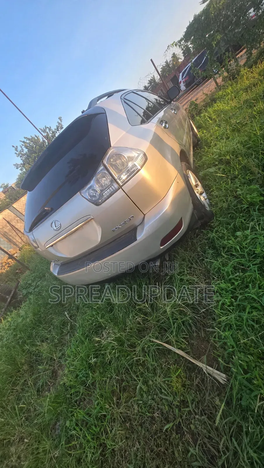 Lexus RX 2009 Gold