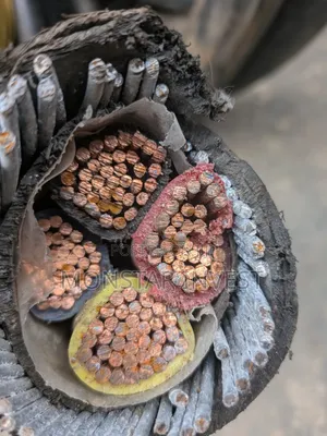 Armored Cable Original Ekectrical Cable