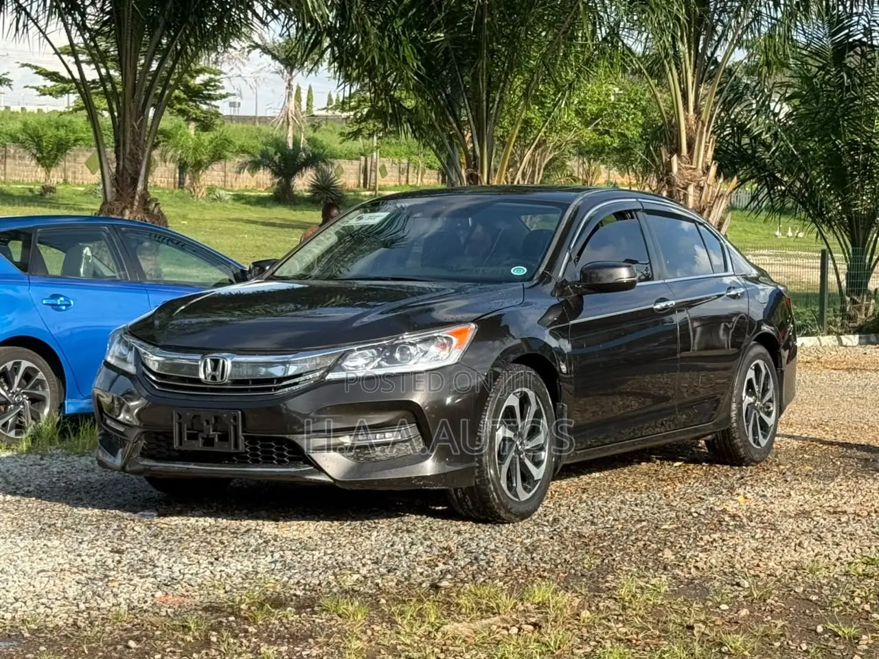 Honda Accord EX-L 4dr Sedan FWD (2.4L 4cyl 2A) 2016 Gray