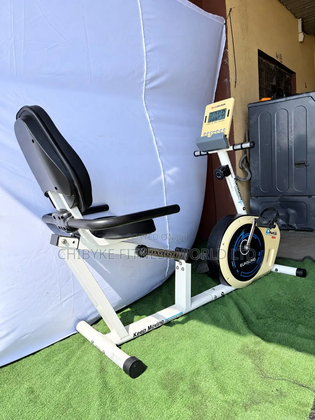 Commercial Recumbent Bike (200kg)