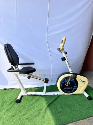 Commercial Recumbent Bike (200kg)