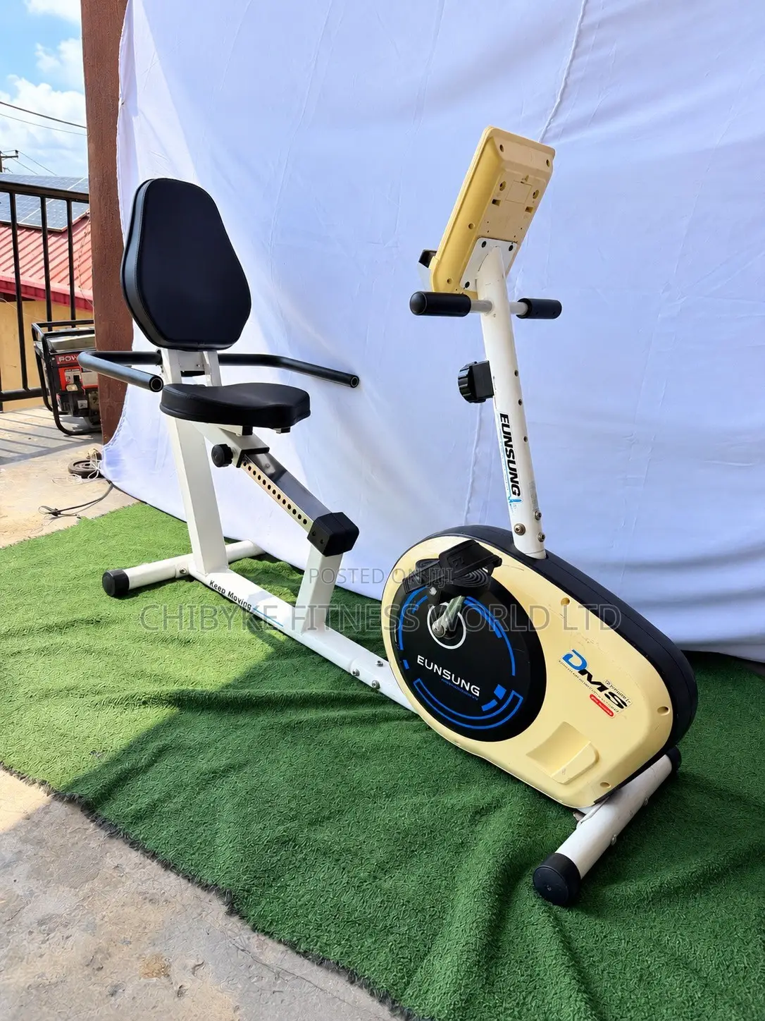 Commercial Recumbent Bike (200kg)
