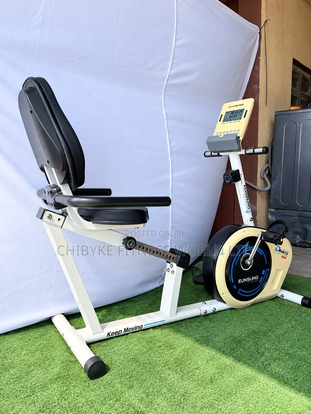 Commercial Recumbent Bike (200kg)