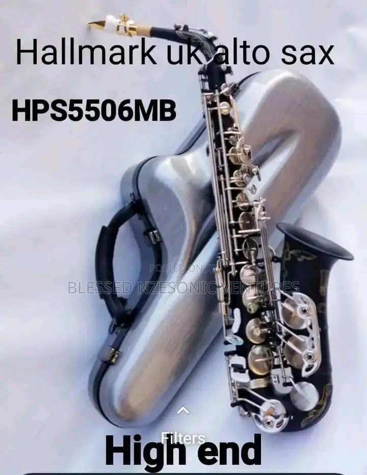 Professional Silver Alto Saxophone