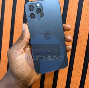 Apple iPhone 12 Pro Max 128 GB Gray