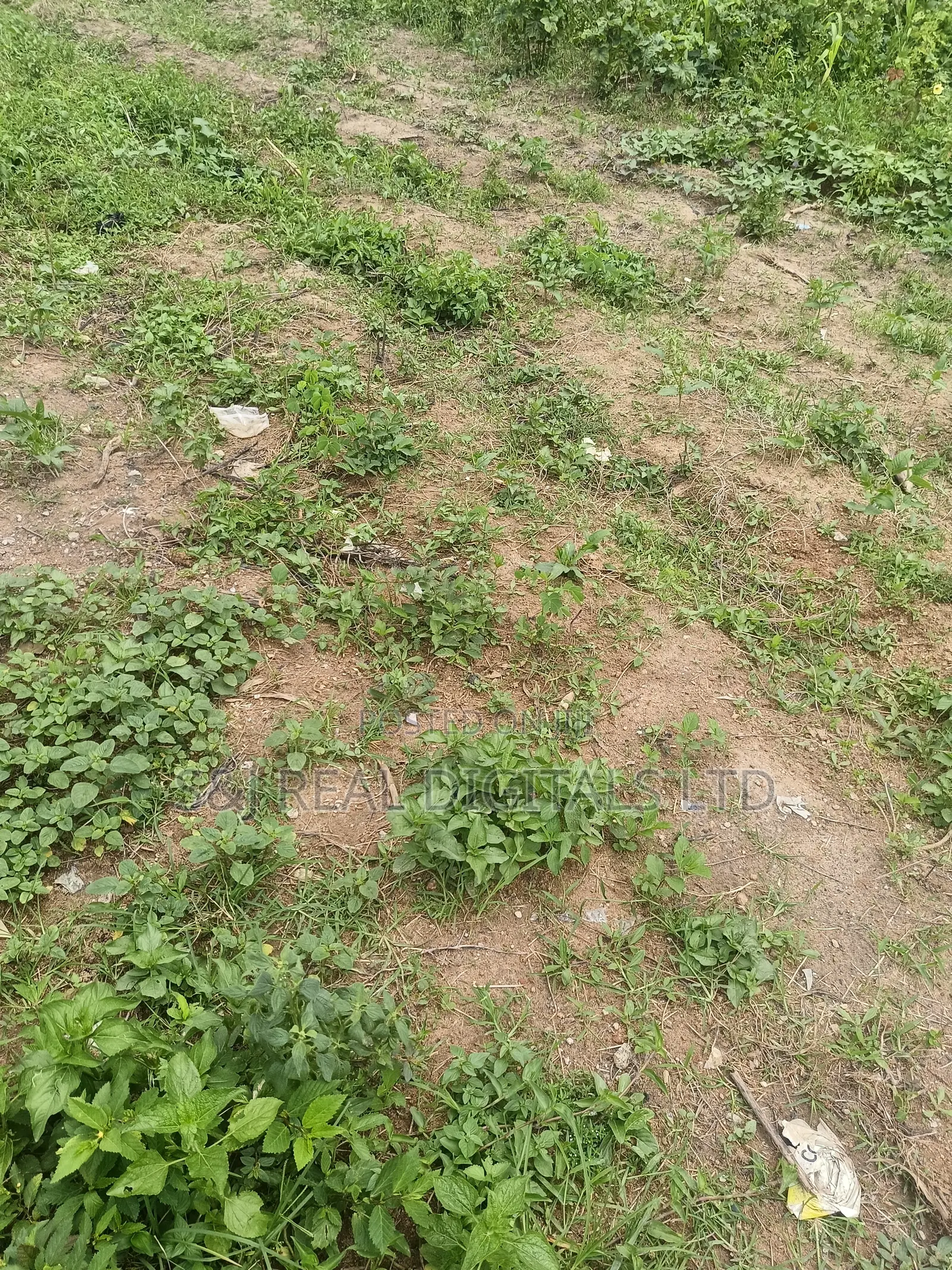 Land for Sale in Guzape Main
