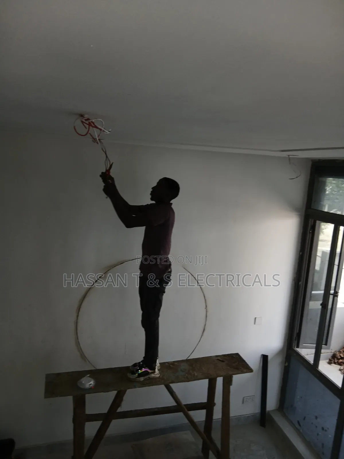 Professional Electrician