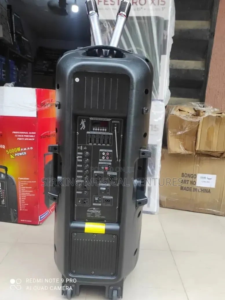12inches Double PA System With Dual Wireless Microphone SonyMax SM-612