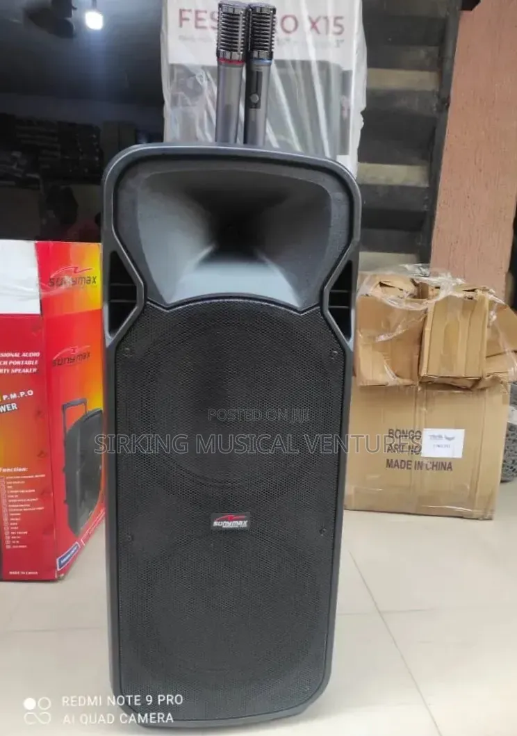 12inches Double PA System With Dual Wireless Microphone SonyMax SM-612