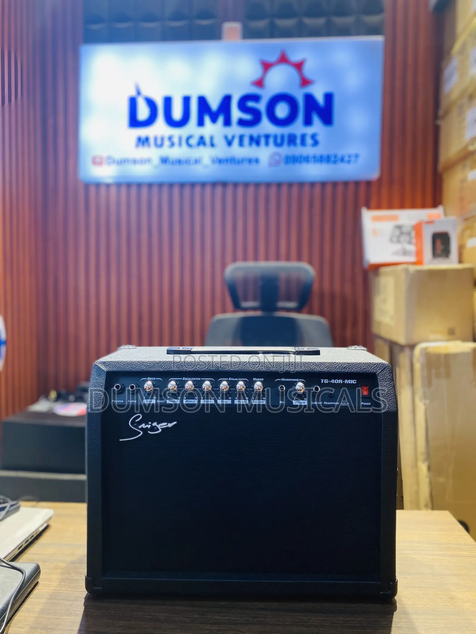Smiger Tg-40r-Mic Lead Guitar Combo Amplifier