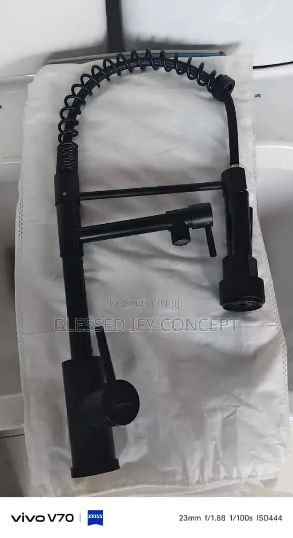 England Big Brother Bl Dual-Spout Spring-Neck Kitchen Mixer Faucet Tap