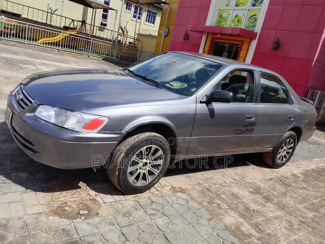 Toyota Camry LE 4dr Sedan (2.2L 4cyl 4A) 2001 Gray