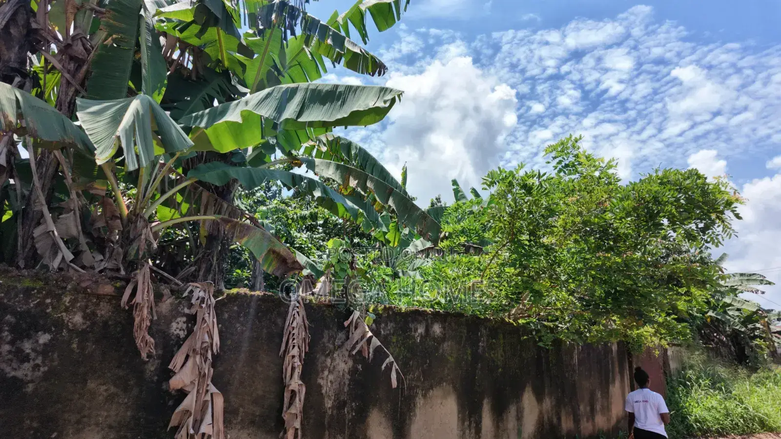 4 Plot of Land in Umuahia for Sale
