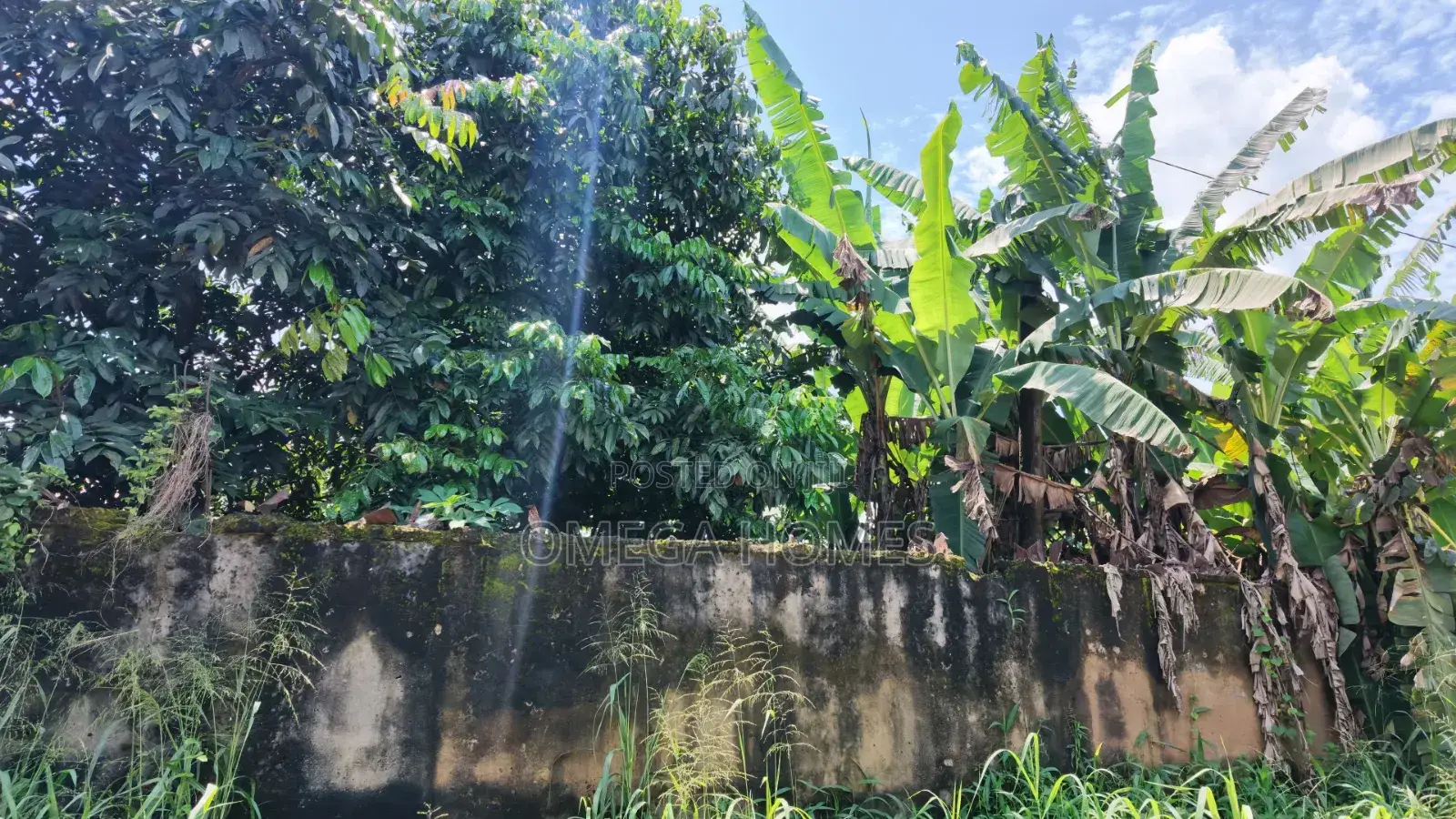 4 Plot of Land in Umuahia for Sale