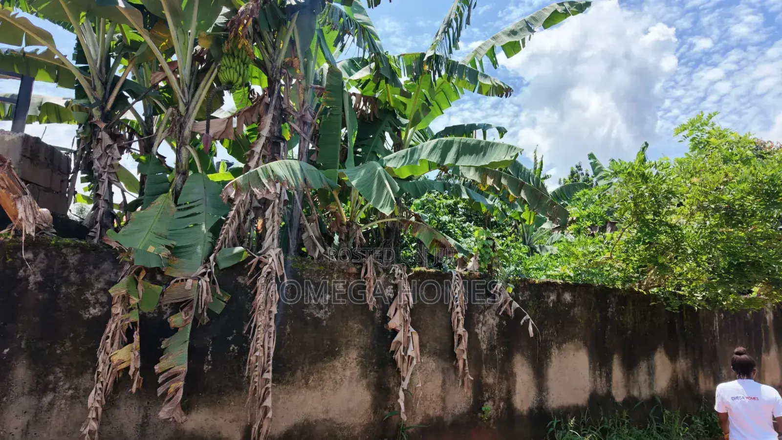 4 Plot of Land in Umuahia for Sale