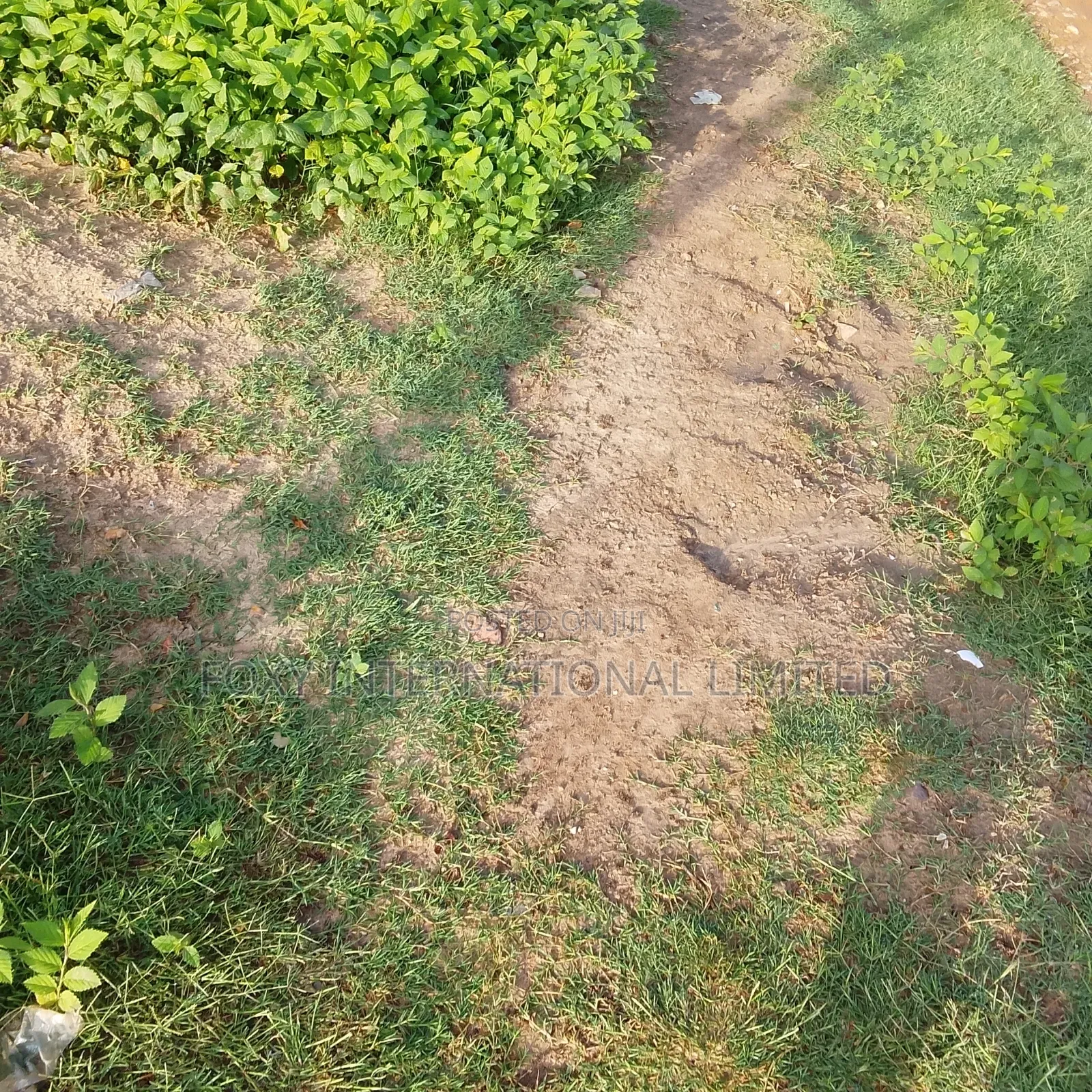 1500 SQM at Guzape Main