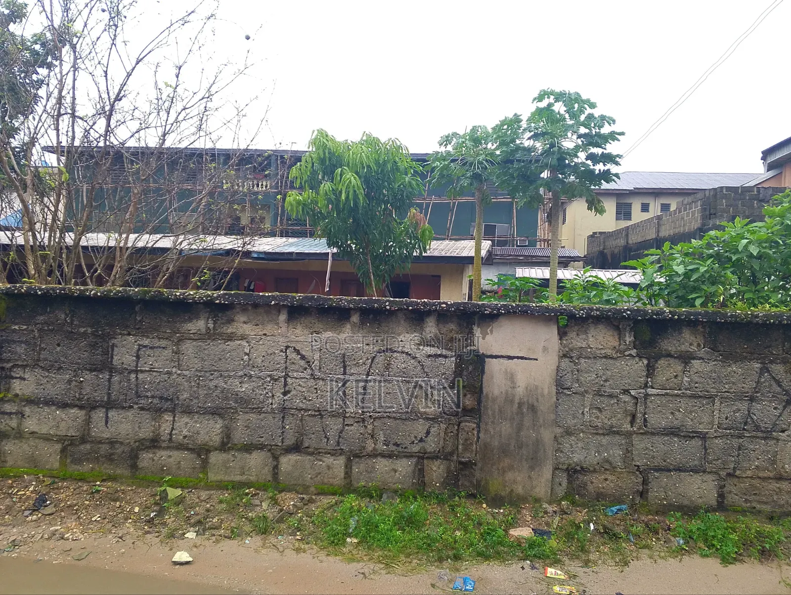 Almost Two Plot of Land and a Small Bungalow Inside