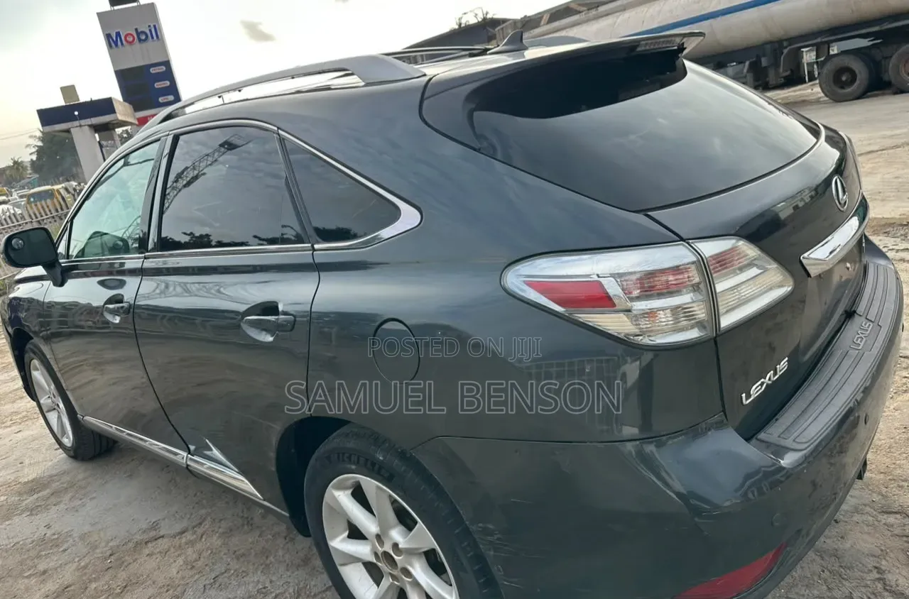 Lexus RX 2010 Gray