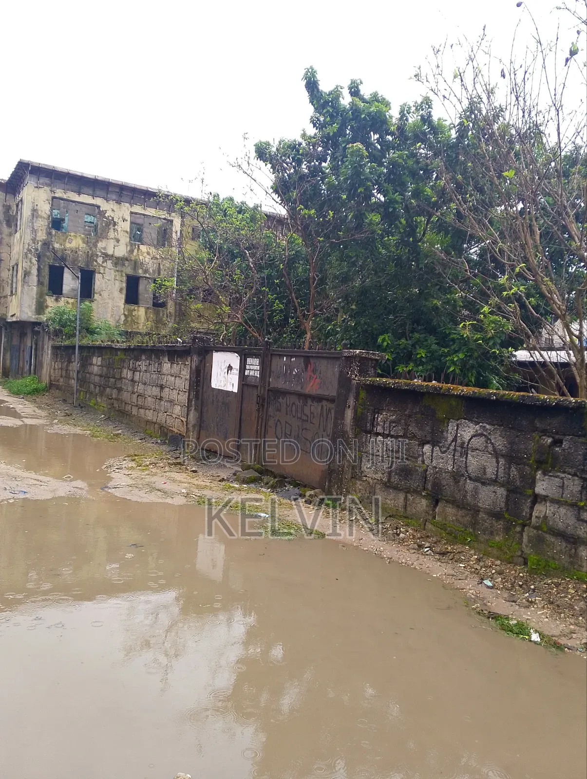 Almost Two Plot of Land and a Small Bungalow Inside