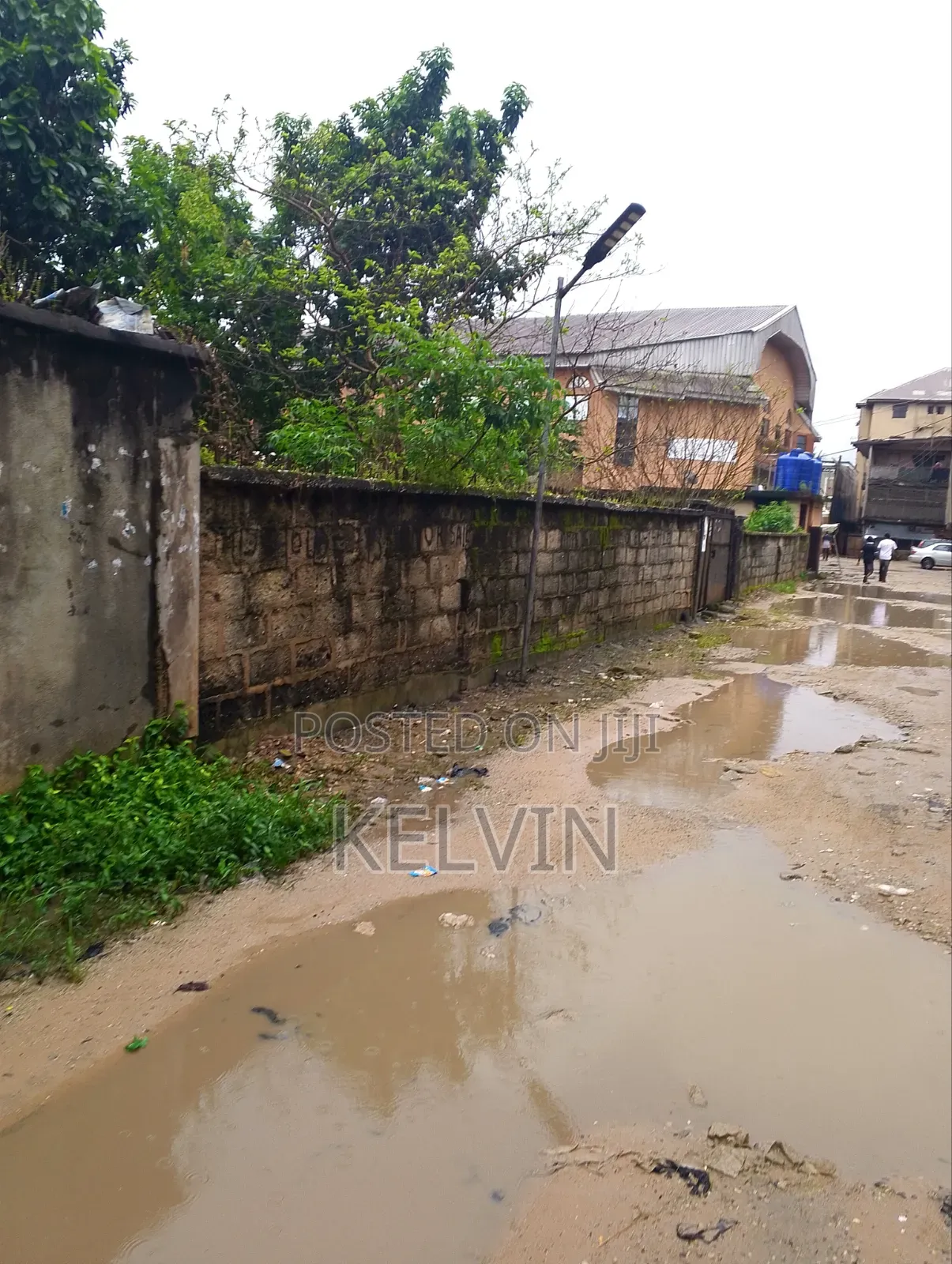 Almost Two Plot of Land and a Small Bungalow Inside