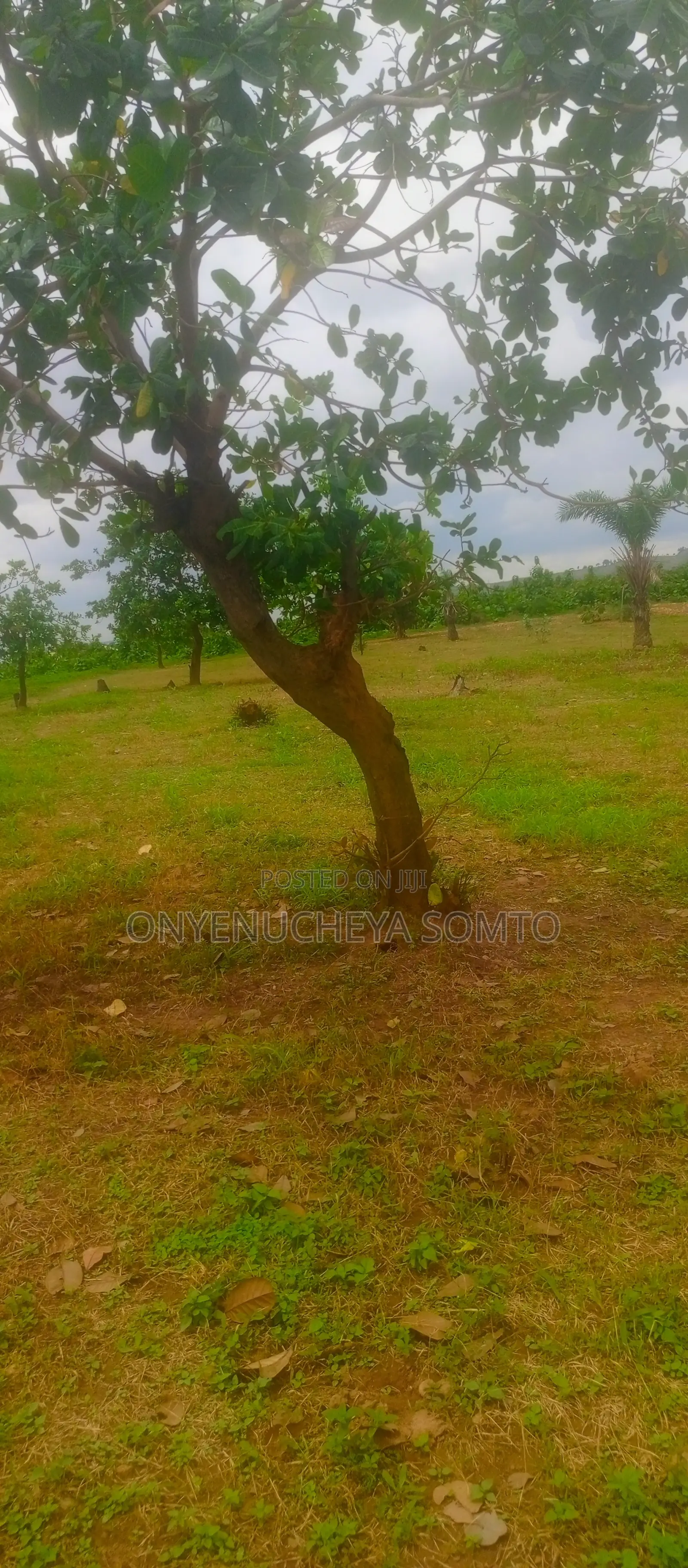 1000SQM Estate Land in Prime Location at Kuje